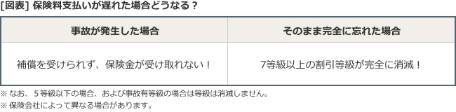保険料の支払い方法 自動車保険一括見積もり窓口 保険料の支払い方法 自動車保険一括見積もり窓口
