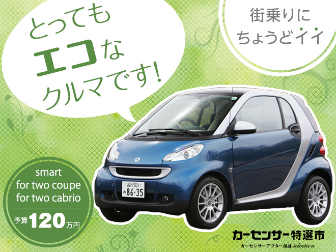 エコにこだわる貴方に総額1万円以下で気の利いた超小型ビークルを 特選車 日刊カーセンサー