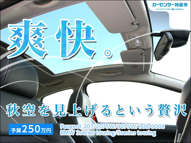 輸入車 サンルーフという 最高の贅沢 が250万円以下 特選車 日刊カーセンサー