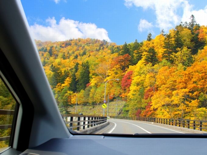 ▲いよいよ始まる紅葉シーズン。ところで、もしも車に乗って紅葉を見に行くならどんな車種を選ぶべきなんでしょうか？ オススメのモデルをいろいろ考えてみました！