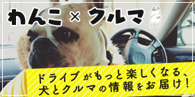 わんこ×クルマ