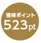 ポイント