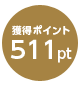 ポイント