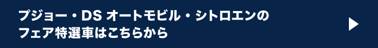 PEUGEOT/DS/CITROEN特選車