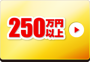 250万円以上