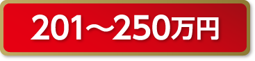 201万円～250万円