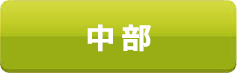 中部