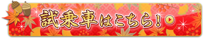 試乗車検索