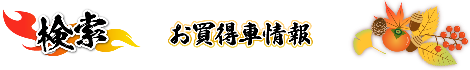 お買得車情報