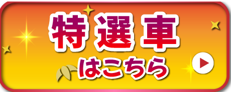 特選車はこちら