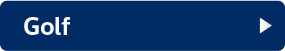 Golfで検索