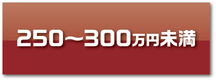 250〜300万円未満