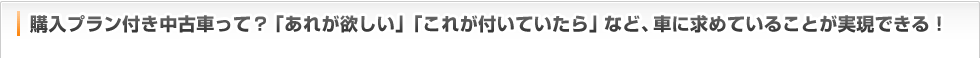 購入プラン付き中古車って？「あれが欲しい」「これが付いていたら」など、車に求めていることが実現できる！