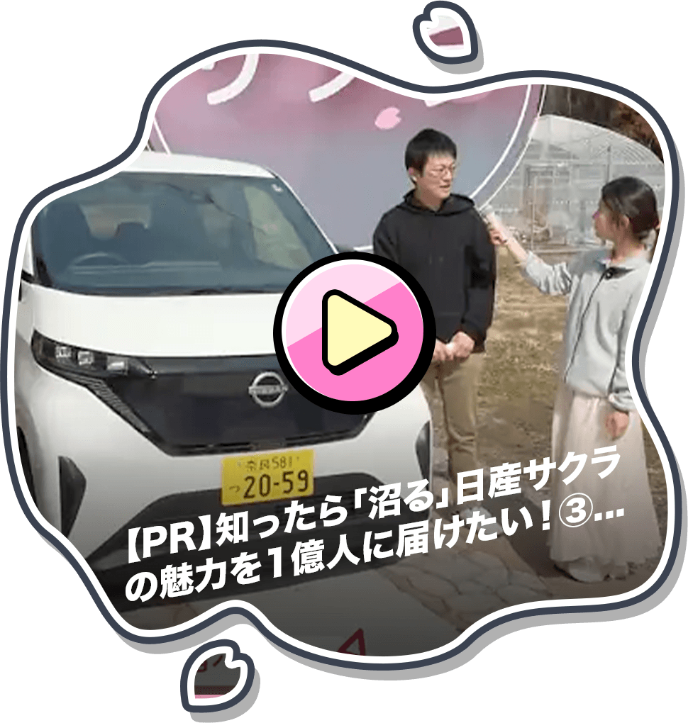 【PR】知ったら「沼る」日産サクラの魅力を1億人に届けたい！③　サクラオーナーに本音を聞いてみた！