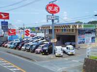 未使用車 中古車 大型展示場 松下モータース 掛川国一支店 中古車なら カーセンサーnet