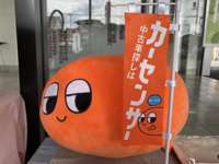 ネッツトヨタ兵庫 株 広畑ｕ ｃａｒセンター 中古車なら カーセンサーnet